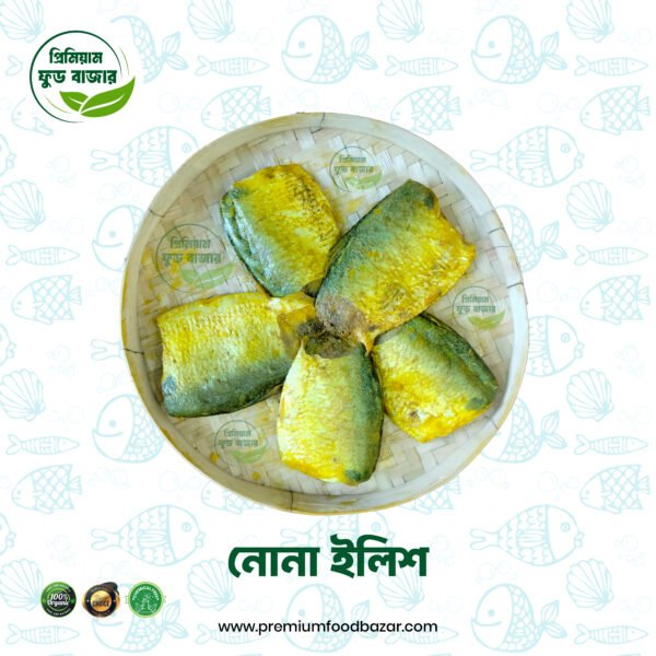 নোনা ইলিশ